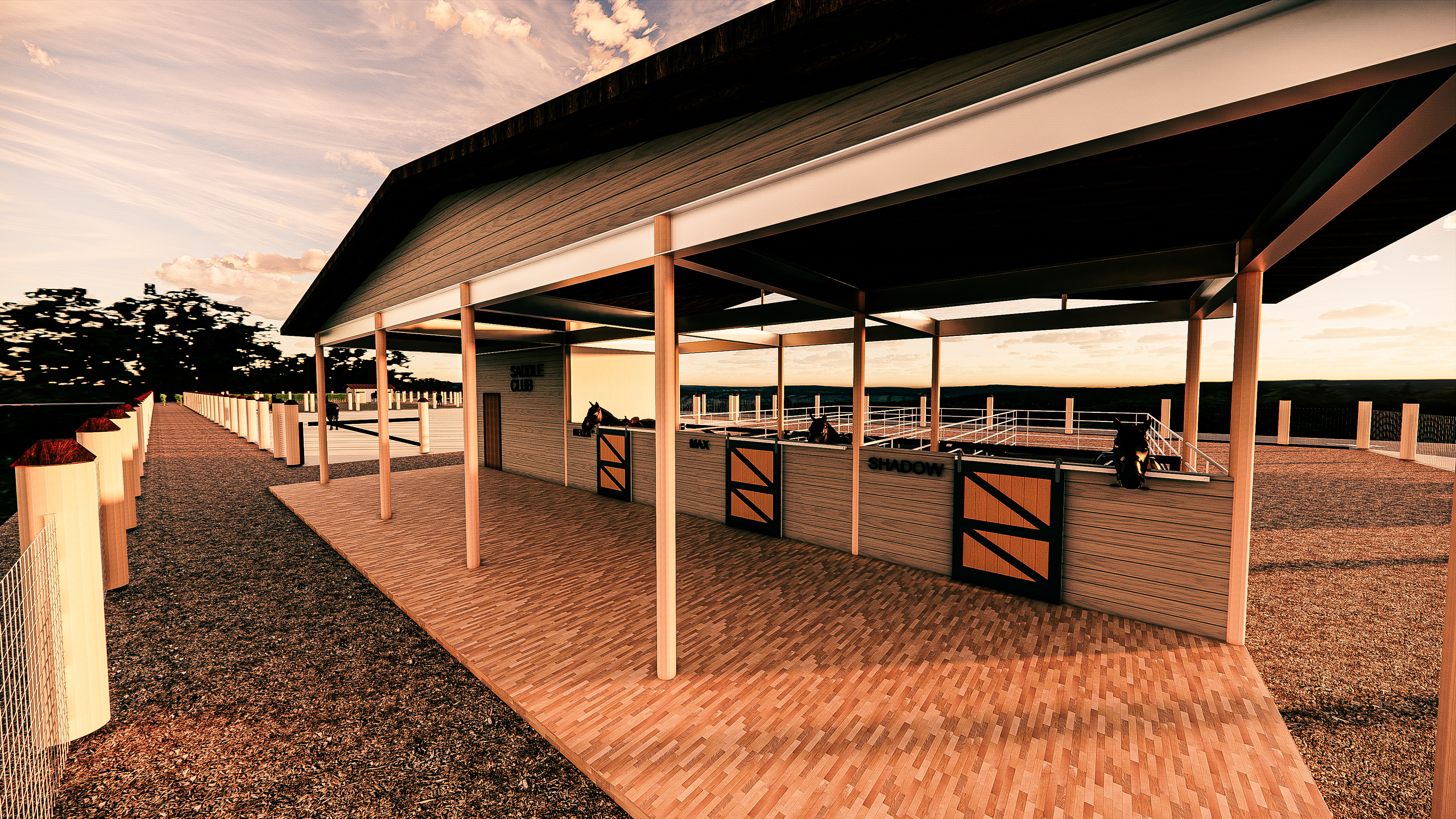 Horse and Saddle Club